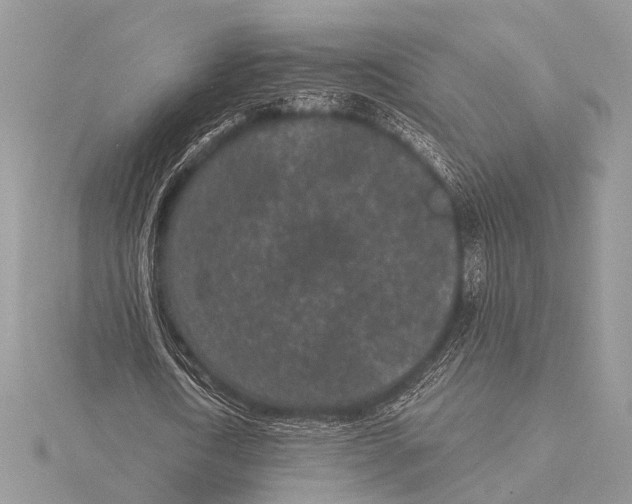 X0000115530722200912040949