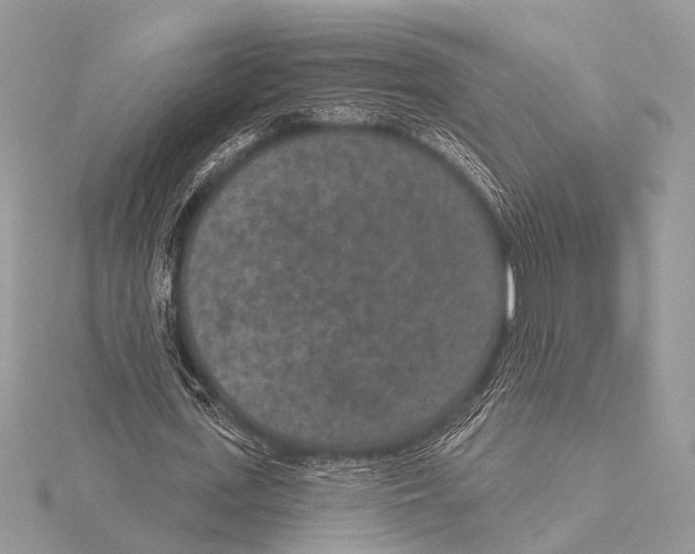 X0000115530723200912040949