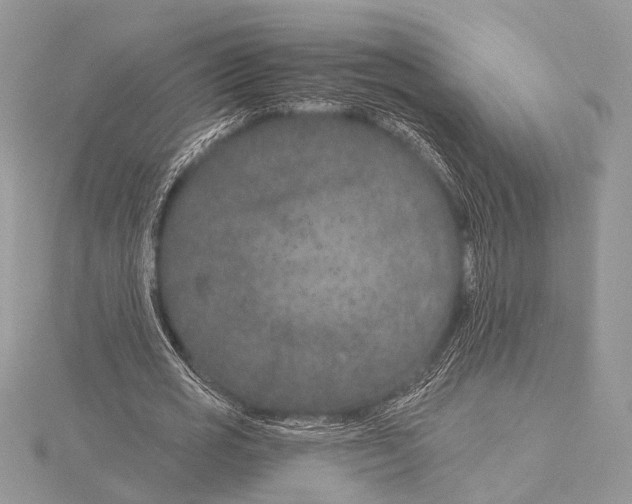 X0000115530725200912040949