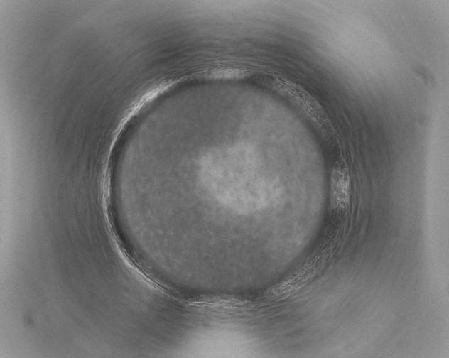 X0000115530726200912040949