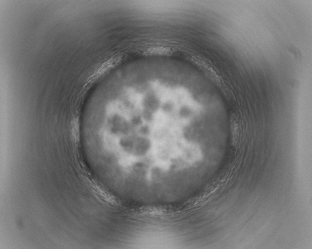 X0000115530729200912040949