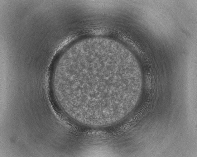 X0000115530730200912040949