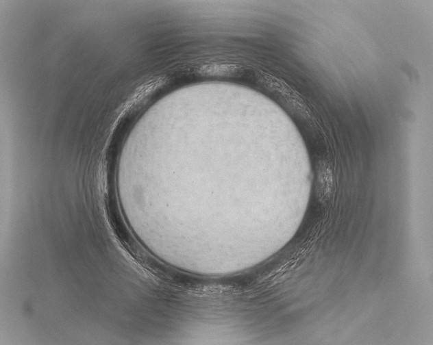 X0000115530734200912040949