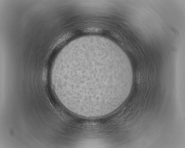 X0000115530735200912040949