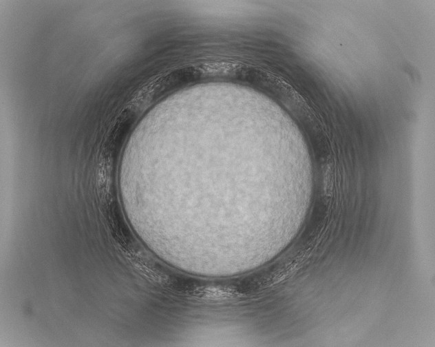 X0000115530737200912040949