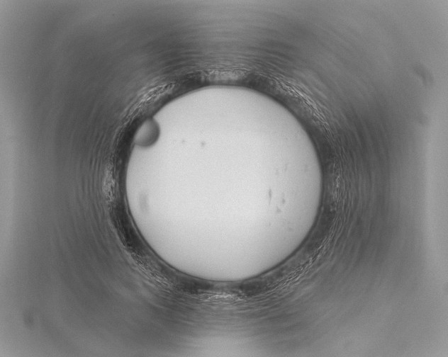 X0000115530743200912040949