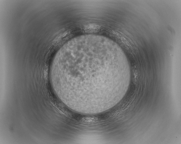 X0000115530745200912040949