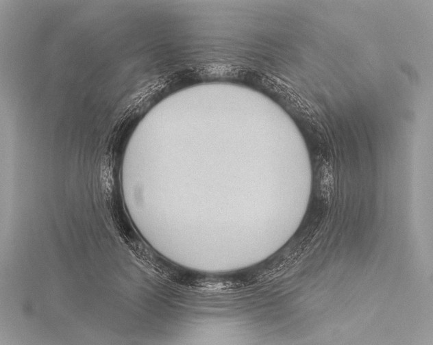 X0000115530746200912040949