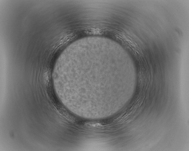 X0000115530747200912040949