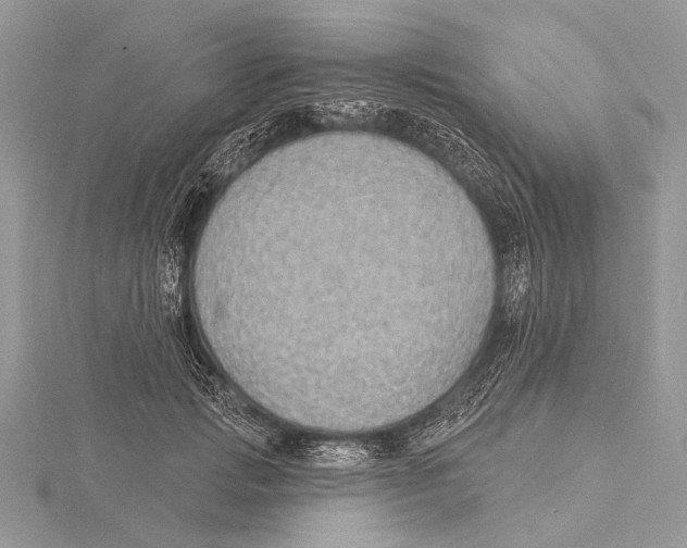 X0000115530749200912040950