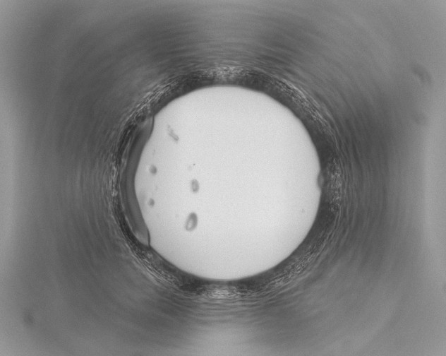 X0000115530750200912040950