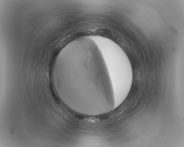 X0000115530754200912040950