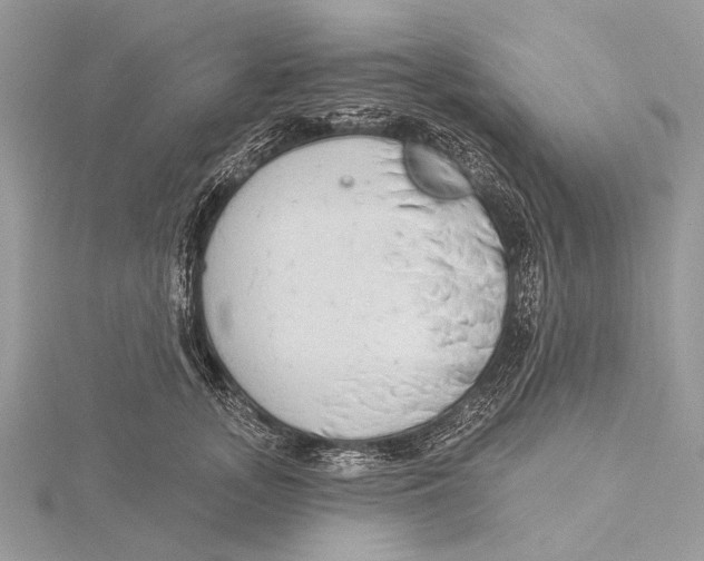 X0000115530755200912040950