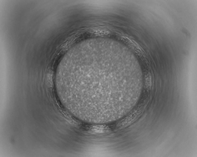 X0000115530757200912040950