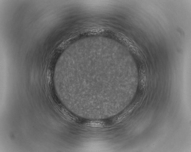 X0000115530758200912040950