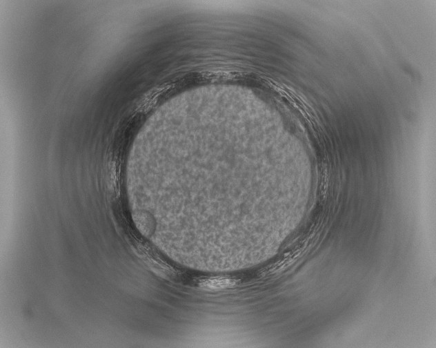 X0000115530759200912040950