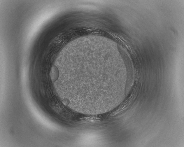 X0000115530763200912040950