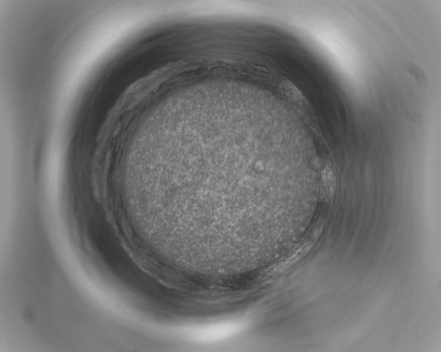 X0000115530765200912040950