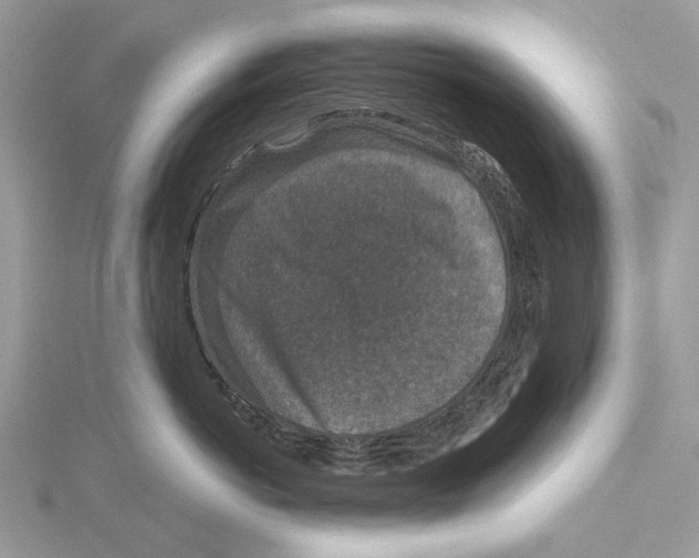 X0000115530766200912040950