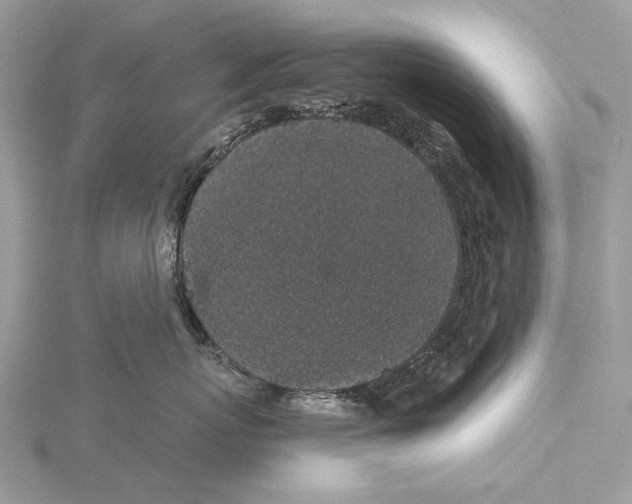 X0000115530767200912040950