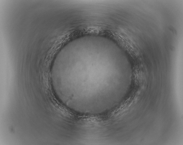 X0000115530769200912040949