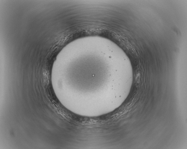 X0000115530772200912040949