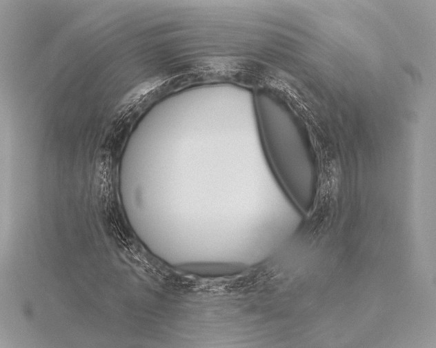 X0000115530773200912040949