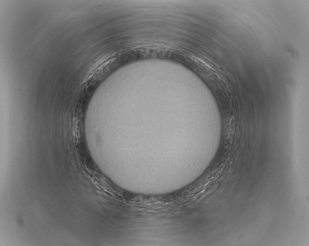 X0000115530774200912040949