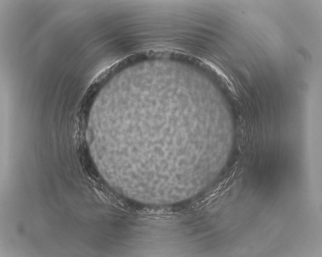 X0000115530775200912040949