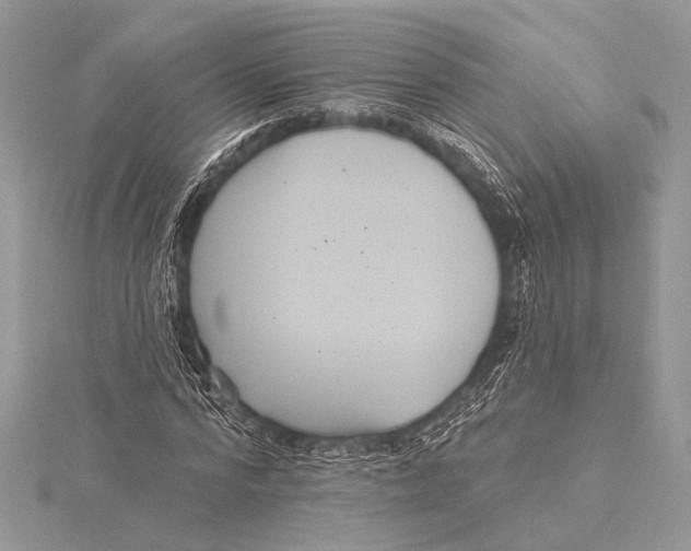 X0000115530776200912040949