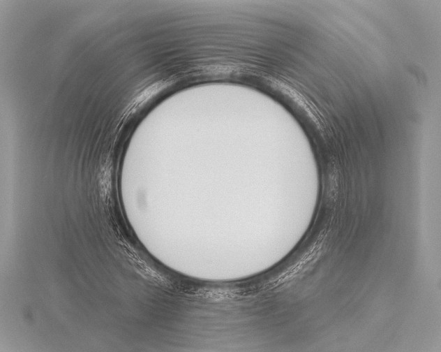 X0000115530778200912040949