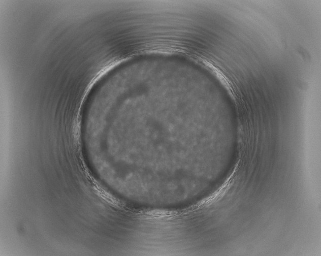 X0000115530779200912040949