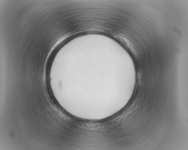 X0000115530780200912040949