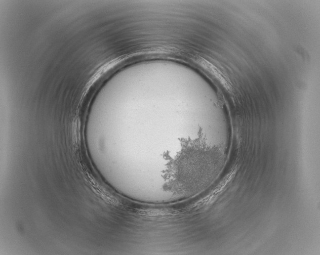 X0000115530781200912040949