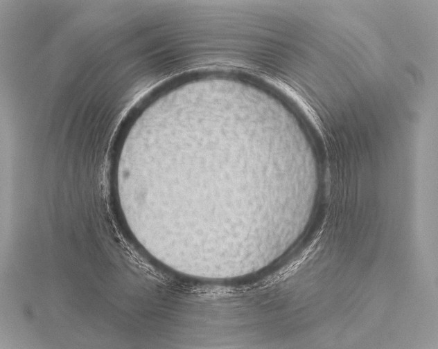 X0000115530783200912040949