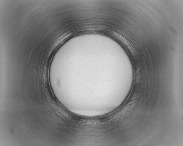 X0000115530786200912040949