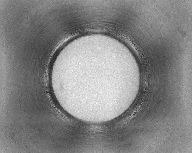 X0000115530787200912040949