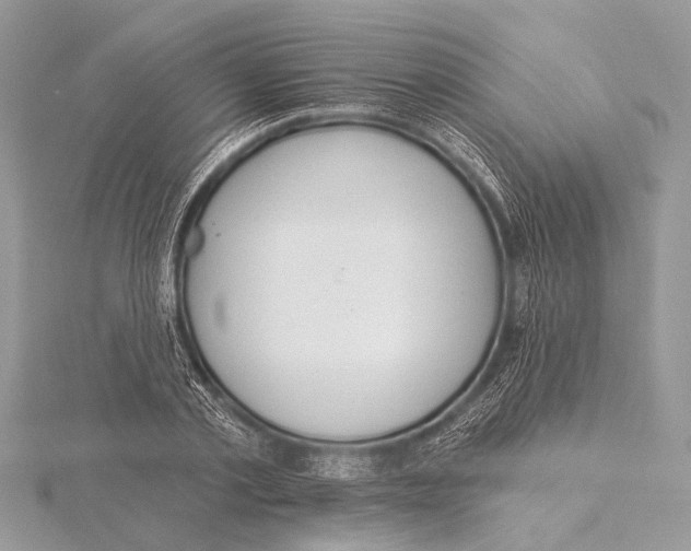 X0000115530789200912040949