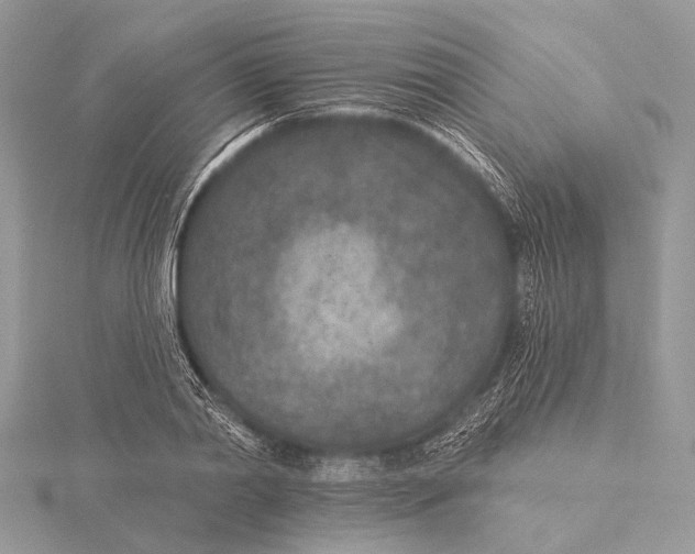 X0000115530790200912040949