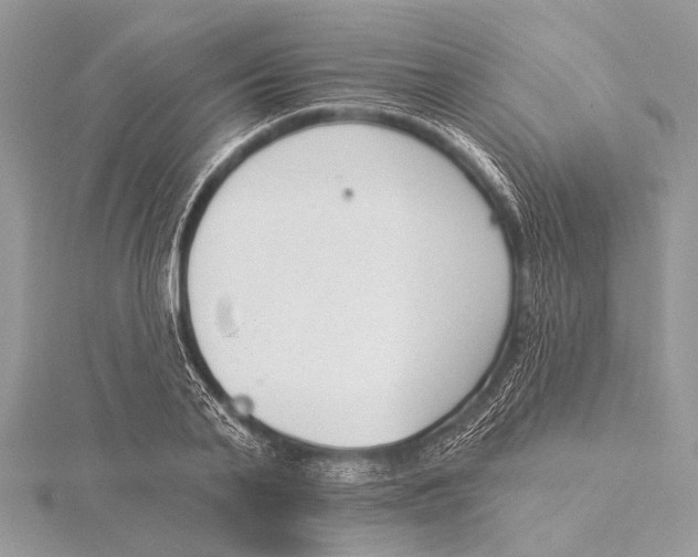 X0000115530791200912040949