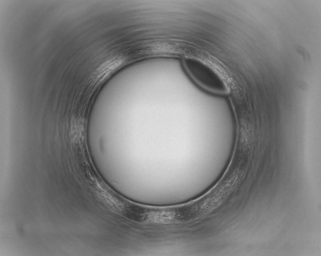 X0000115530793200912040949