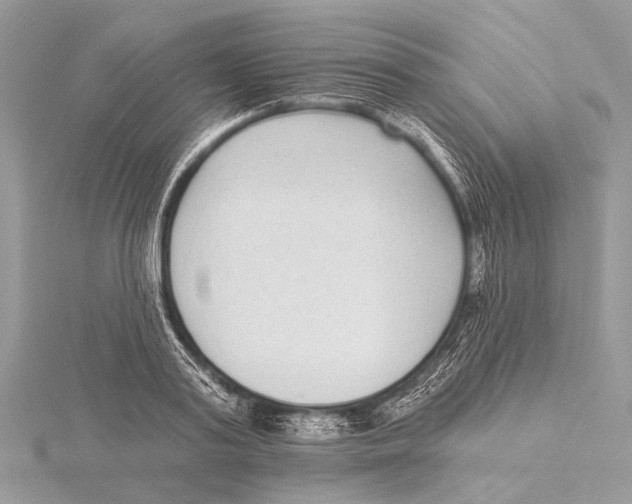 X0000115530795200912040949