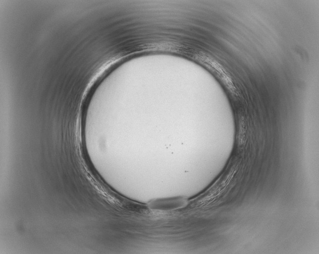 X0000115530796200912040949