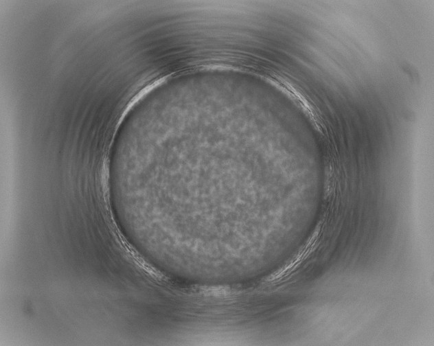 X0000115530798200912040949