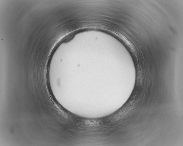 X0000115530799200912040949