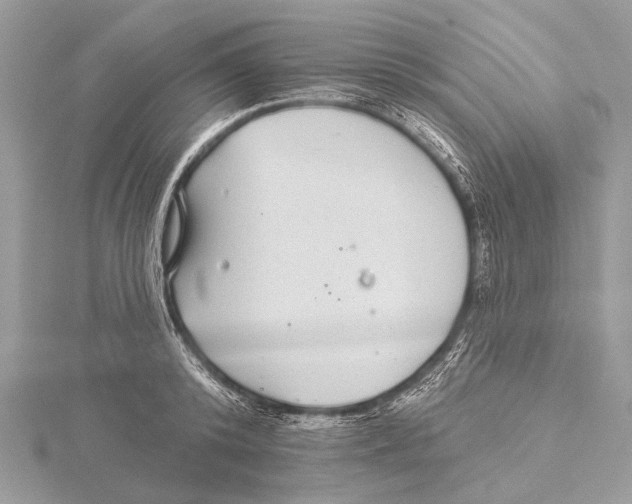 X0000115530800200912040949