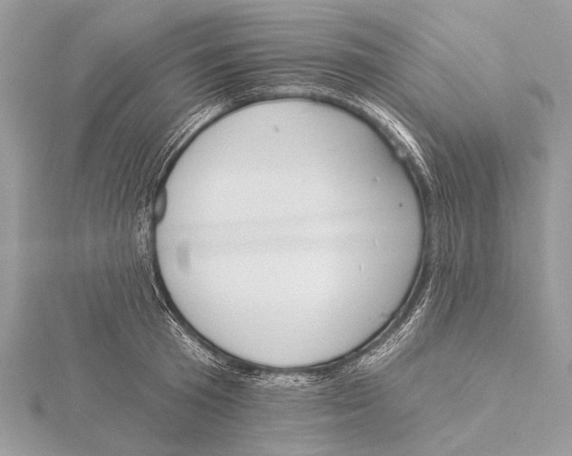 X0000115530801200912040949