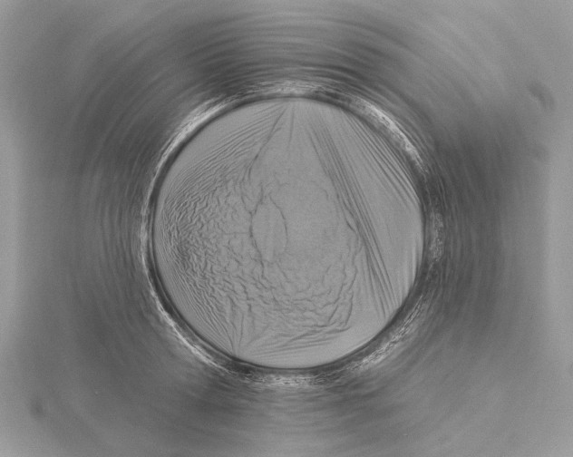 X0000115530802200912040949