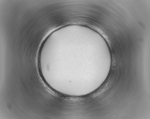 X0000115530803200912040949