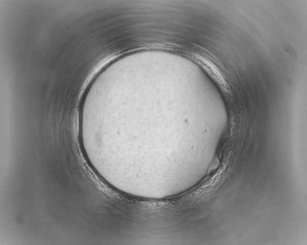 X0000115530804200912040949